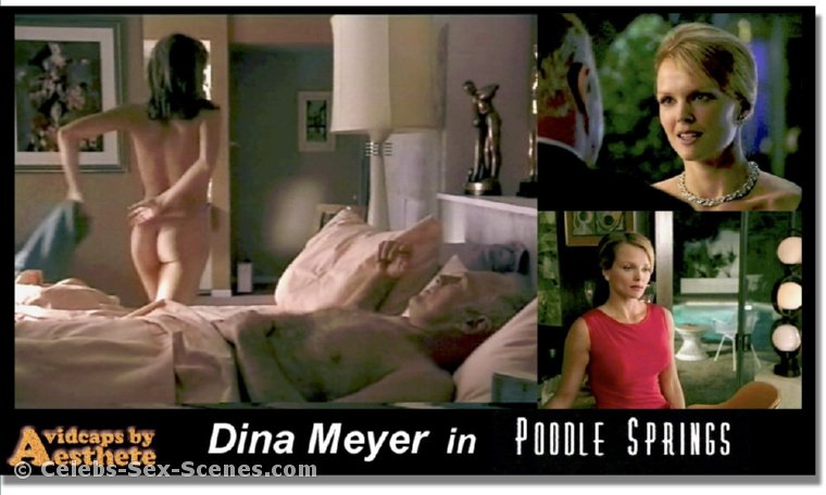 Dina Meyer Sex Scene - Telegraph