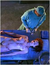 Angie Everhart nude