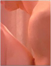 Julianne Moore nude