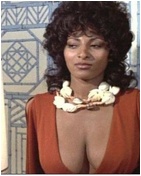 Pam Grier nude