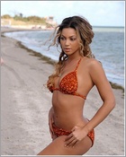 beyonce-knowles_08.jpg - 76 KB