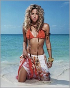 shakira_06.jpg - 123 KB