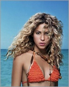 shakira_07.jpg - 126 KB