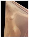 Eva Herzigova nude